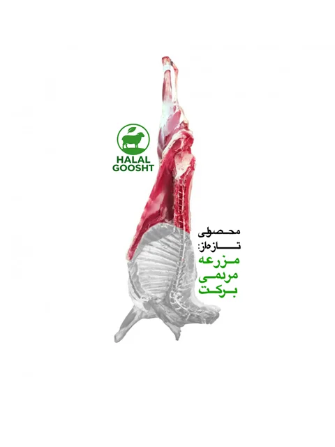 گوشت نیم شقه ران گوسفندی
