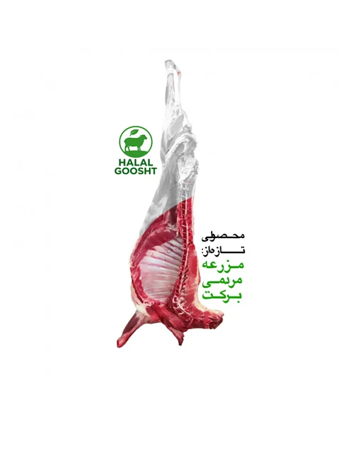 گوشت نیم شقه سردست گوسفندی