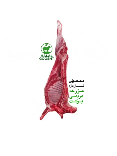گوشت شقه کامل گوسفندی بدون دنبه - بره نر